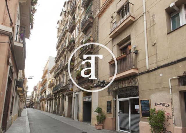 Monthly rental apartment with 1 bedroom apartment in Llibertat street in Barcelona 21