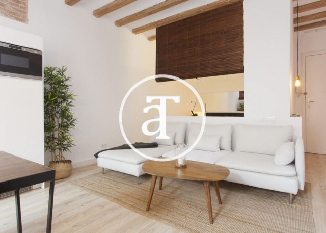Monthly rental apartment with 1 bedroom apartment in Llibertat street in Barcelona 4