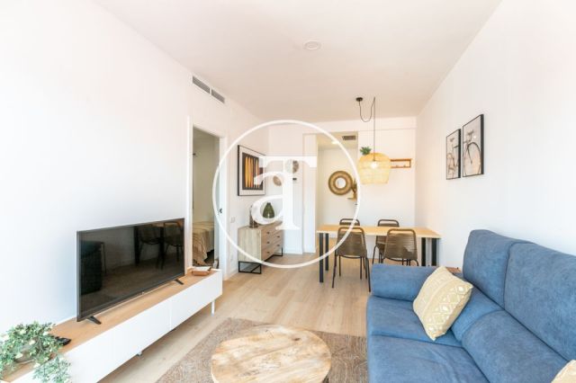 Monthly rental penthouse with 2 bedroom and terrace in Gracia 12