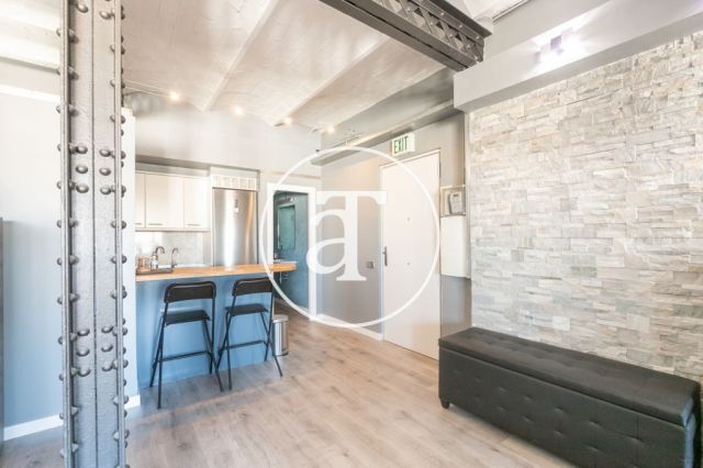 Designer furnished apartment steps from Plaza Catalunya 9
