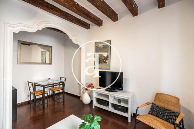 Appartement de 1 chambre à louer temporairement dans le quartier de Born 2