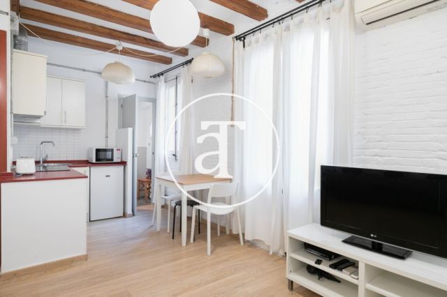 Appartement temporaire à louer avec 1 chambre double à Barceloneta 6