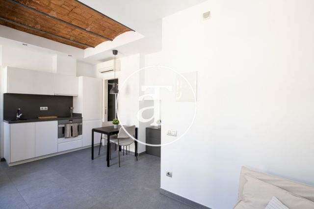 Monthly rental apartment with one bedroom and terrace in La Barceloneta 16