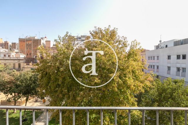 Piso de alquiler temporal de 1 habitación a pasos de Plaza España 15