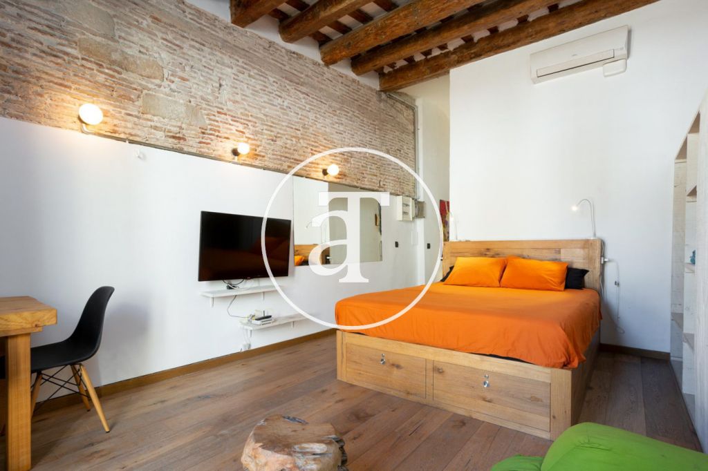 Monthly rental apartment with 1 bedroom in El Borne 1