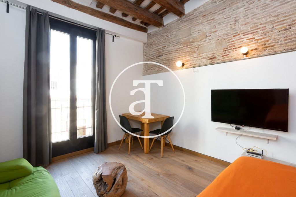 Monthly rental apartment with 1 bedroom in El Borne 2