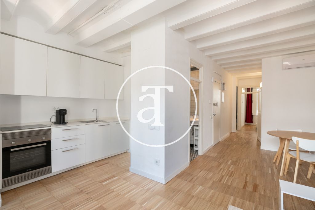 Monthly rental apartment with 2 bedroom in the center of Barcelona 2