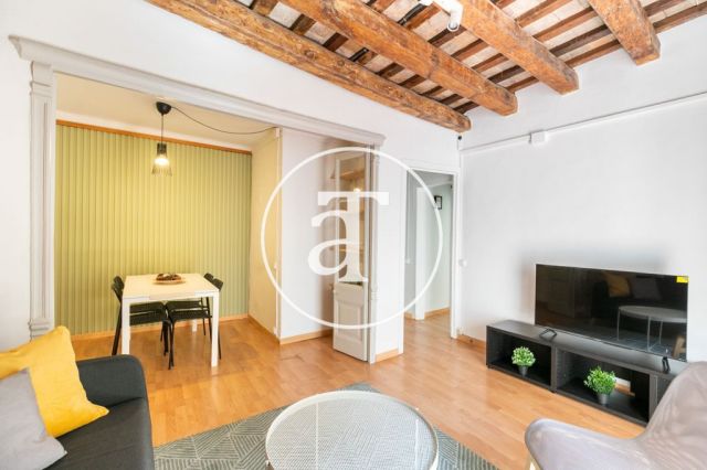 Appartement de 1 chambre à louer temporairement dans le quartier gothique 8