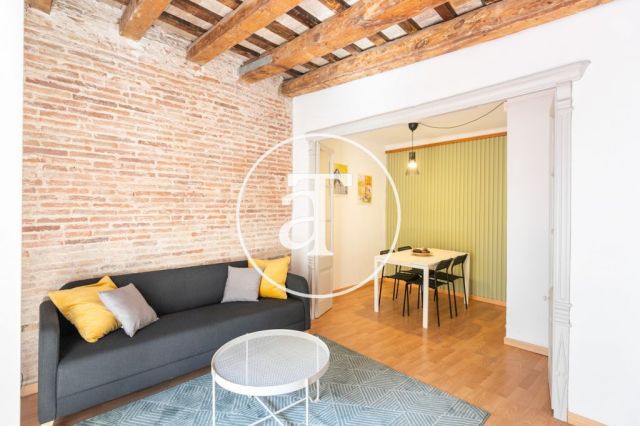 Appartement de 1 chambre à louer temporairement dans le quartier gothique 5