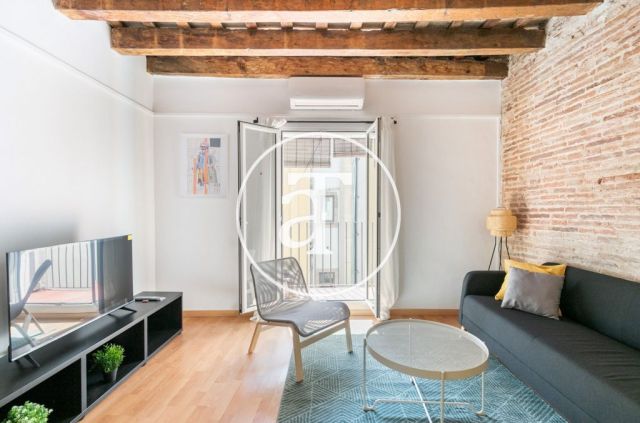 Appartement de 1 chambre à louer temporairement dans le quartier gothique 3