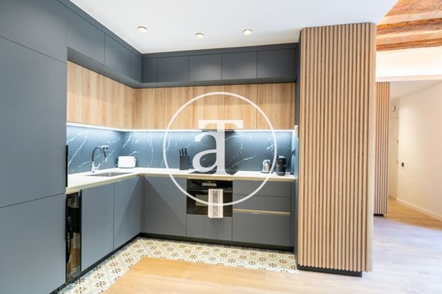 Monthly rental design apartment with 2 bedrooms and terrace steps from Passeig Sant Joan and Arc de Triomf 11