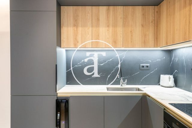 Monthly rental design apartment with 2 bedrooms and terrace steps from Passeig Sant Joan and Arc de Triomf 14
