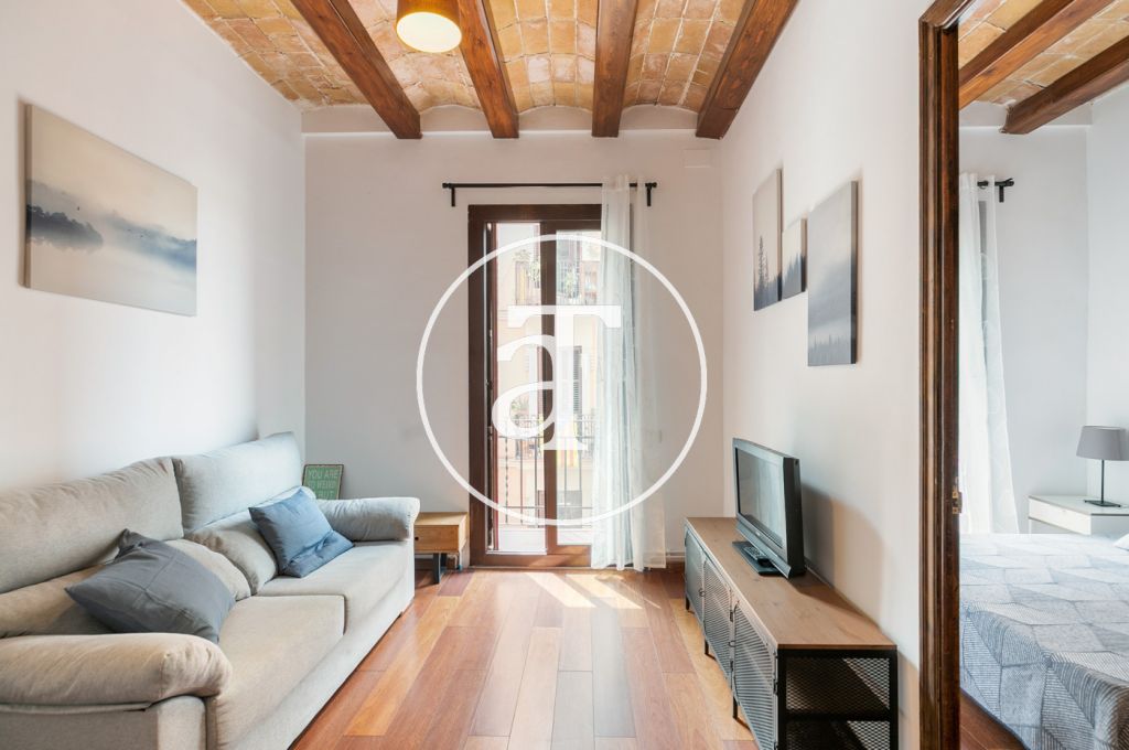 Monthly rental apartment with 2 bedrooms in Gracia 1