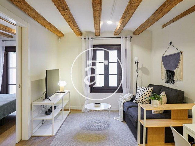 Monthly rental apartment with1 bedroom and terrace near the port of Barcelona