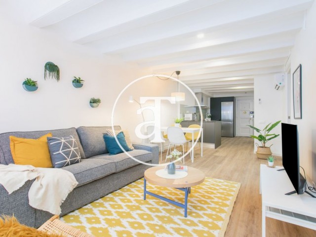 Monthly rental apartment with 2 bedrooms in central Barcelona