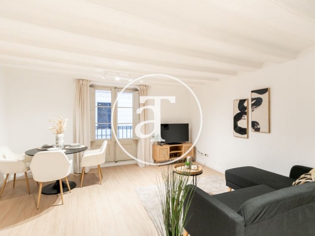 Monthly rental apartment with 1 bedroom and 1 bathroom in Ciutat Vella