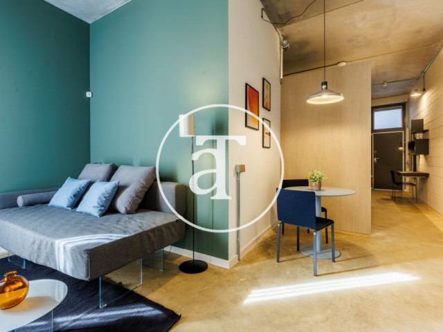 Estudio de alquiler temporal de 1 habitación y 1 baño con balcón en Ciutat Vella