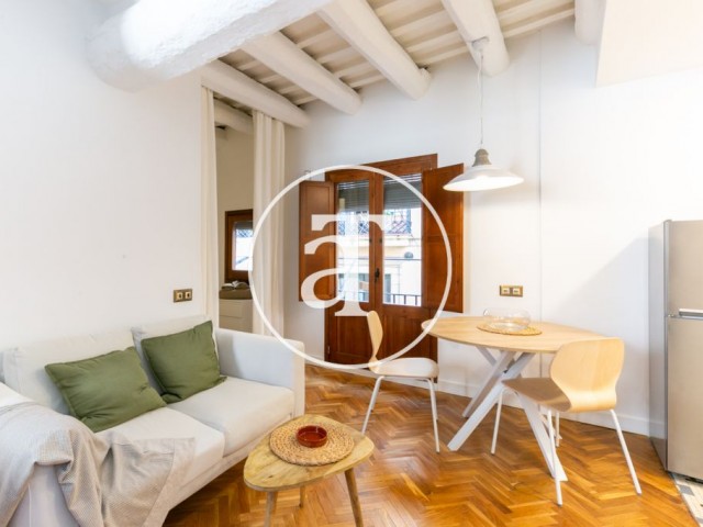 Piso de alquiler temporal de 1 habitación y estudio con 1 baño con vistas a la catedral del Mar