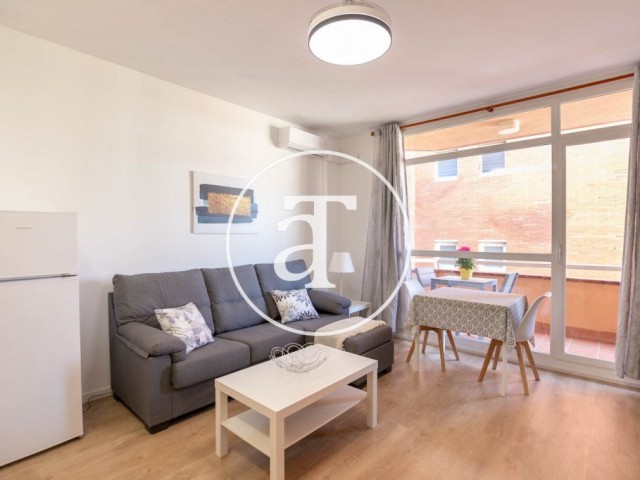 Monthly rental apartment with 1 bedroom and terrace near L