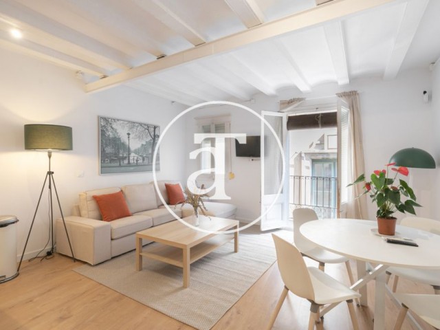 Monthly rental apartment with 2 bedrooms, 1 bathroom, and toilet with balcony in Ciutat Vella