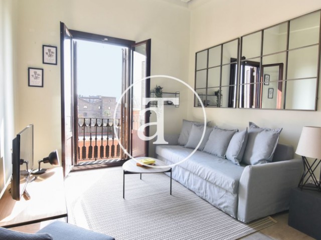 Monthly rental apartment with 1 bedroom and 1 bathroom in Ciutat Vella