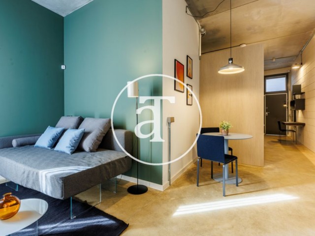 Estudio de alquiler temporal de 1 habitación y 1 baño con balcón en Ciutat Vella