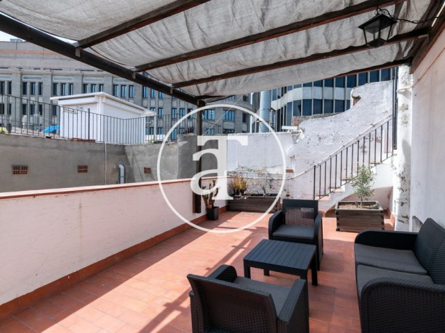 Monthly rental apartment with 2 bedrooms and 1 bathroom with terrace and balcony in Ciutat Vella