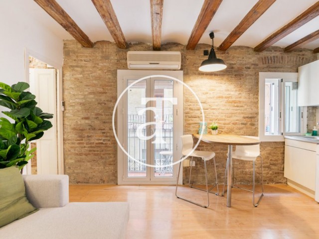 Piso de alquiler temporal de 1 habitación con balcón y 1 baño a un paso de la playa de la Barceloneta