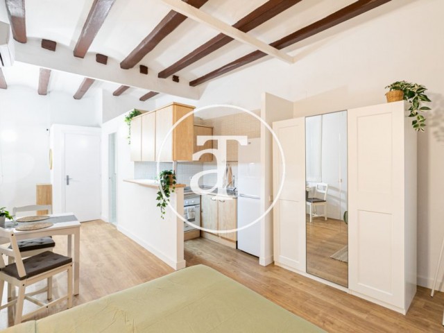 Monthly rental studio with balcony and 1 bathroom in Ciutat Vella