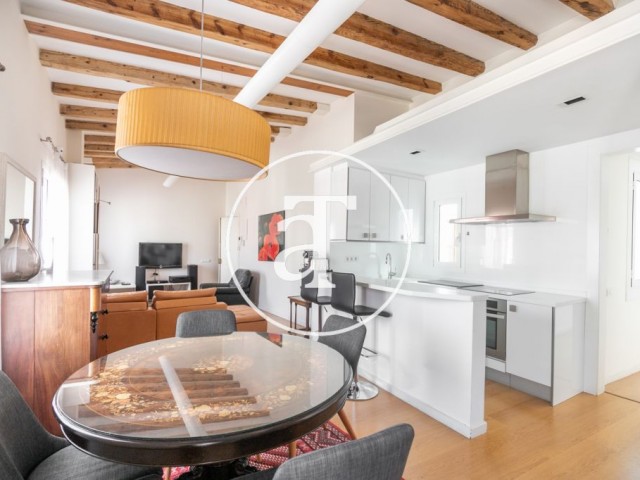 Modern and spacious apartment near Plaza Catalunya