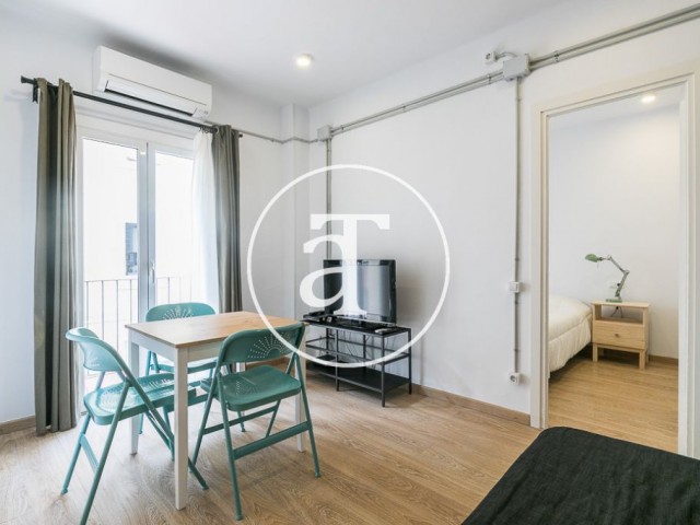 Monthly rental apartment with 1 bedroom in Ciutat Vella
