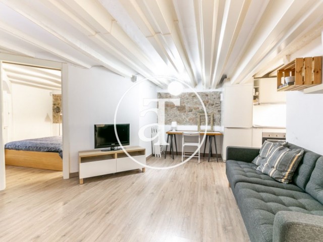 Apartamento de alquiler temporal en zona céntrica de Barcelona