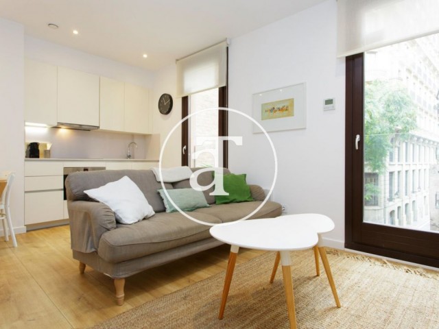 Monthly rental apartment with 2 bedrooms in El Born neighborhood