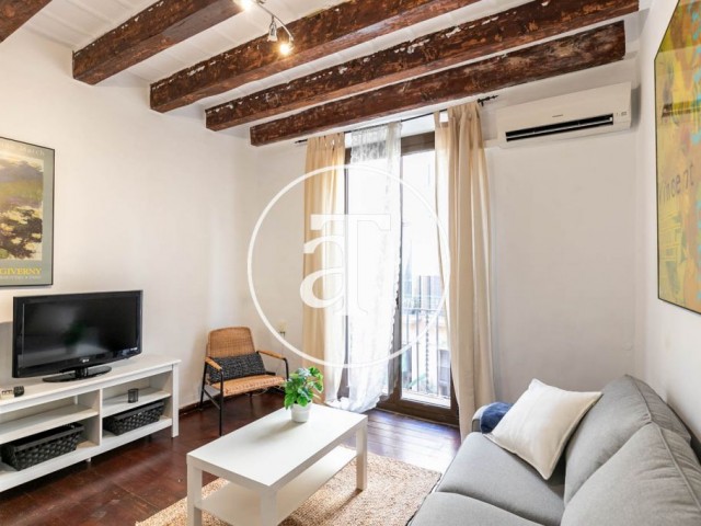 Monthly rent apartment with one bedroom in the Born neighborhood