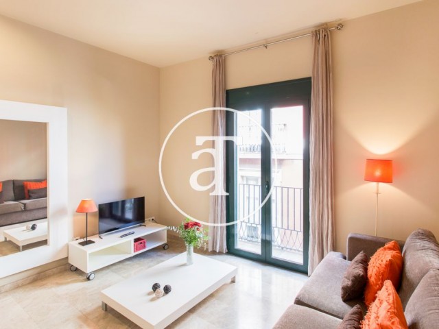Monthly rental apartment with 1 bedroom the Gothic Neighborhood