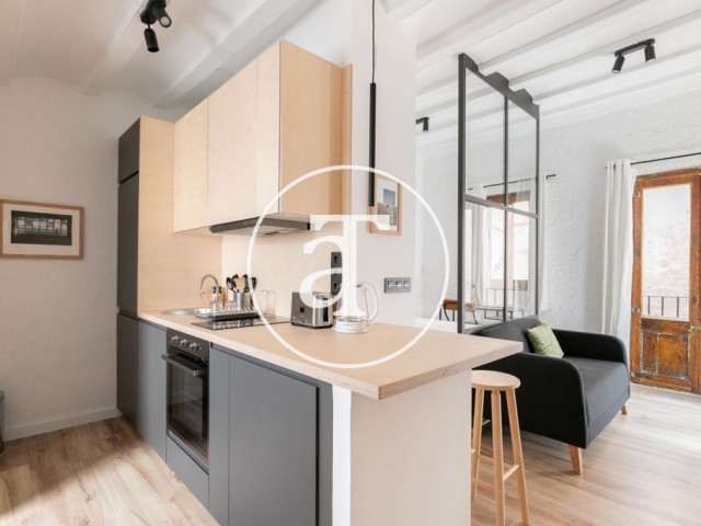 Piso de alquiler temporal de 1 habitación a pasos de Plaza Catalunya