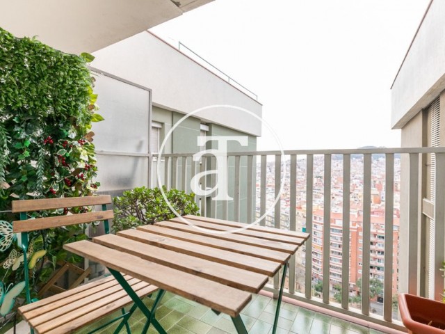 Monthly rental apartment with 3 bedrooms and terrace in Meridiana Av.