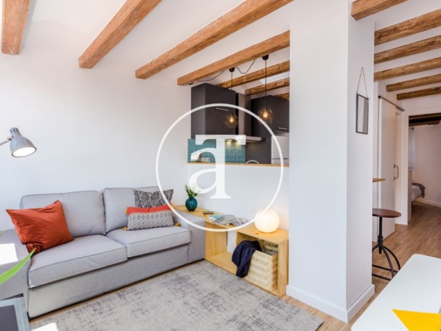 Monthly rental penthouse with 1 bedroom in Sant Antoni