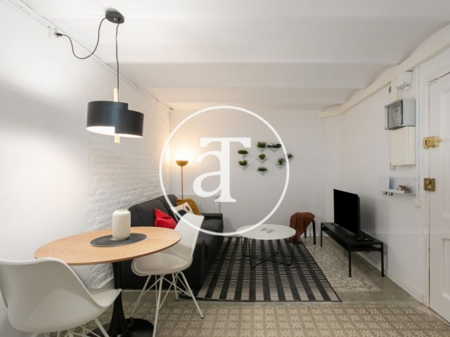 Monthly rental apartment with 2 bedrooms steps away from Poble Sec Station