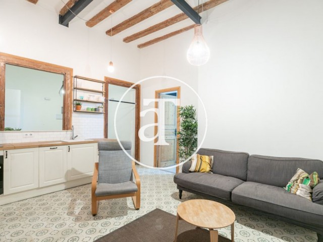 Fantástico piso en alquiler amueblado y equipado en barrio Gótico de Barcelona