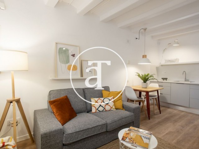 Monthly rental apartment with 1 bedroom a few minutes from Montjuic