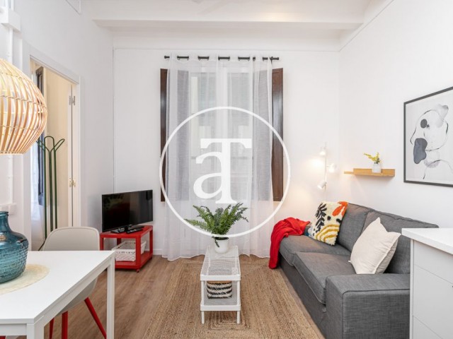 Monthly rental flat with 2 bedrooms a few minutes from Montjuic