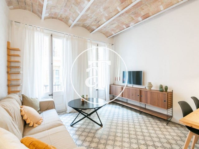 Monthly rental apartment in the heart of Villa Gracia in Barcelona