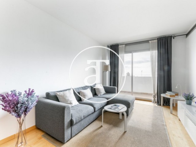 Monthly rental apartment with 2 terraces in Poblenou, Barcelona
