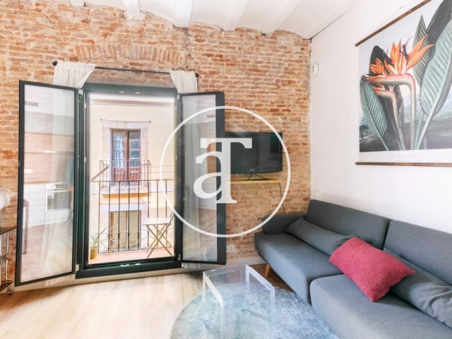 Furnished and equipped apartment on Guifre street, Barcelona