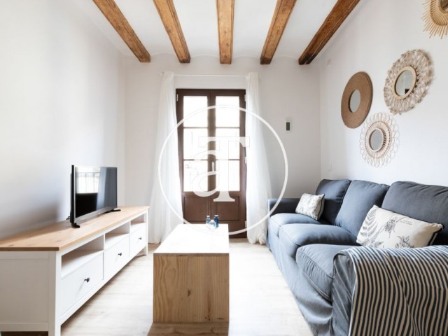 Monthly rental apartment with 3 bedrooms in Barcelona (Discount for a stay of more than 6 months)