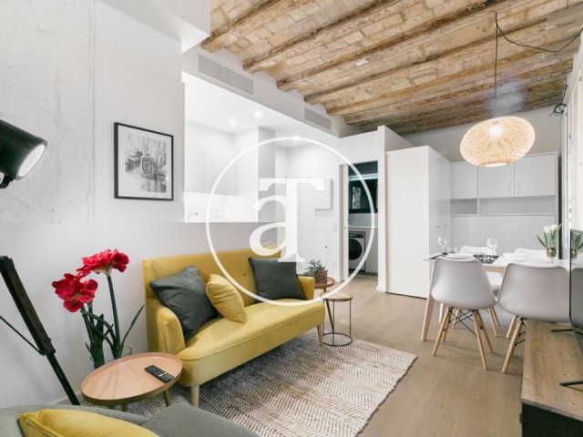 Monthly rental brand new apartment in Barcelona