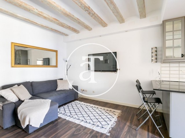 Monthly rental apartment with 2 bedrooms and a studio in Sants