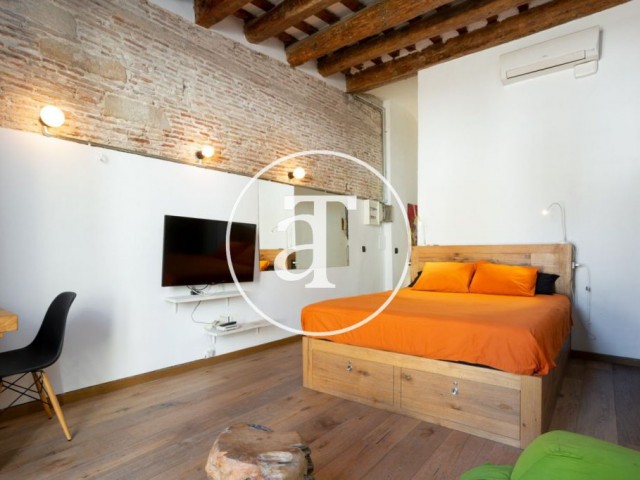 Monthly rental apartment with 1 bedroom in El Borne