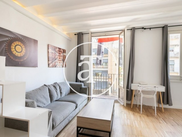 Monthly rental flat with 2 bedroom in the center of Barcelona